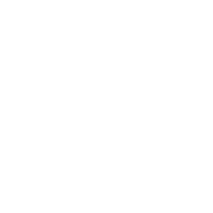 logo voice 365